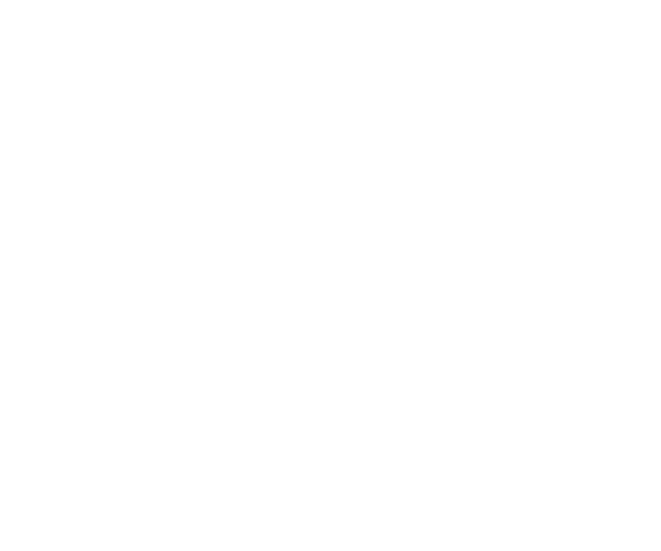ARGUS Assist ISO Certification