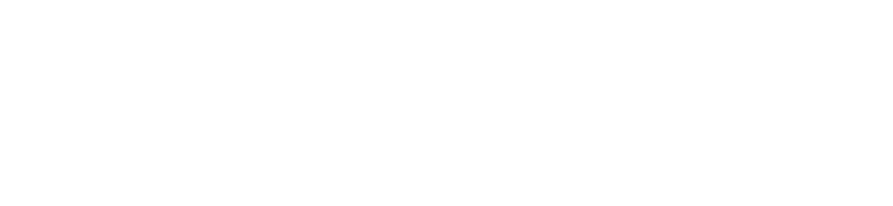 Altus Connect Wordmark