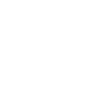 AGL - Sustainability - Icon - Cyber Security